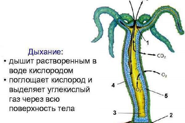 Магазин кракен в москве наркотики