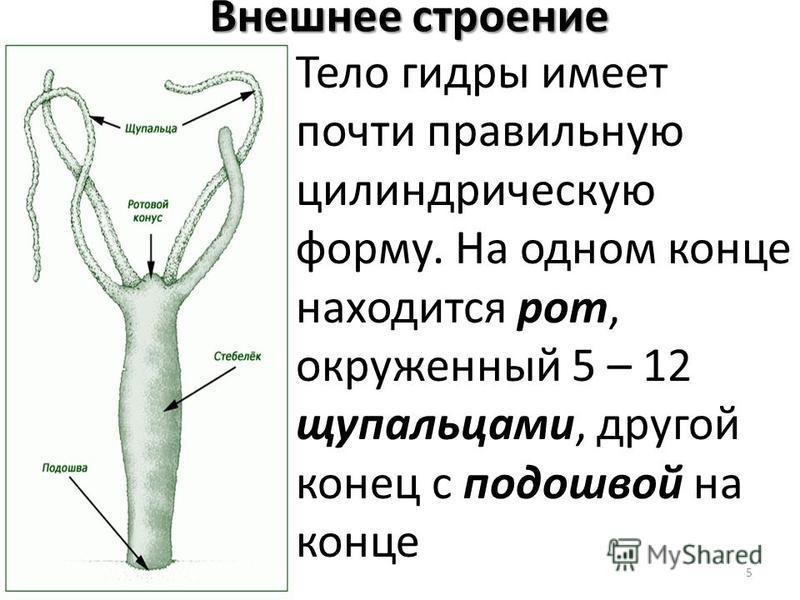 Ссылка на кракен 2024